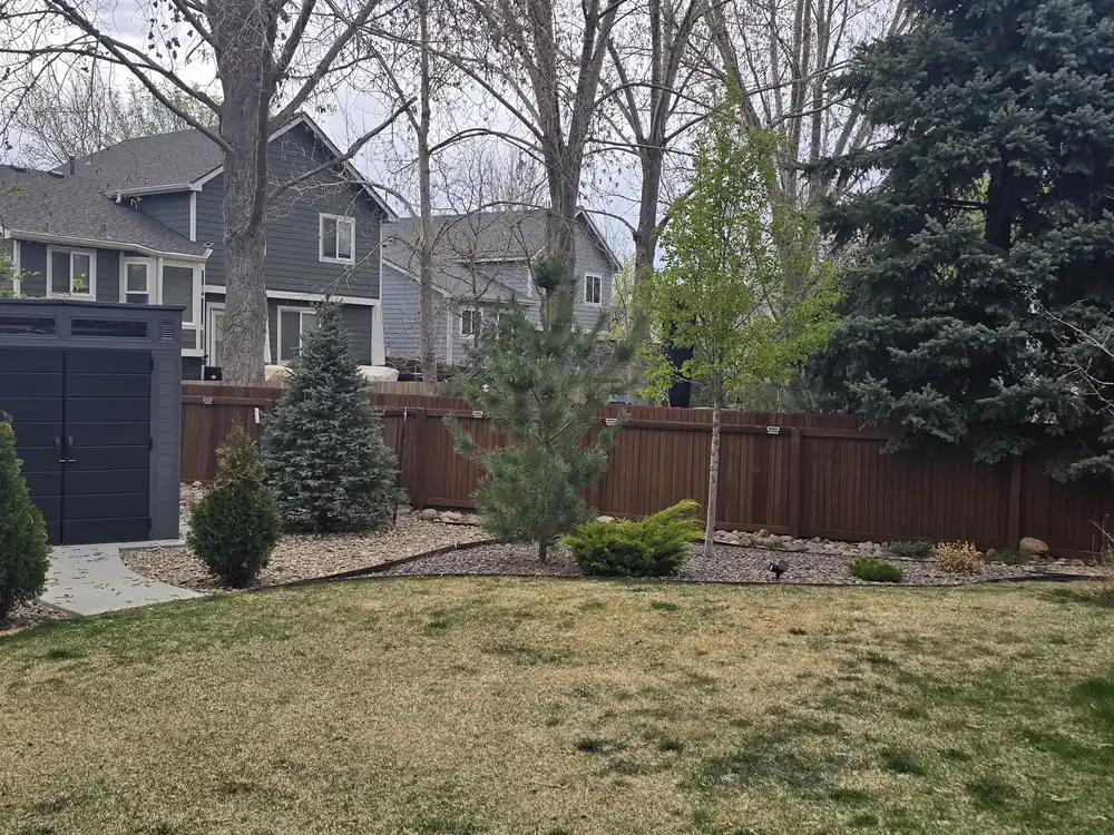 Backyard after fence patio and landscape restoration