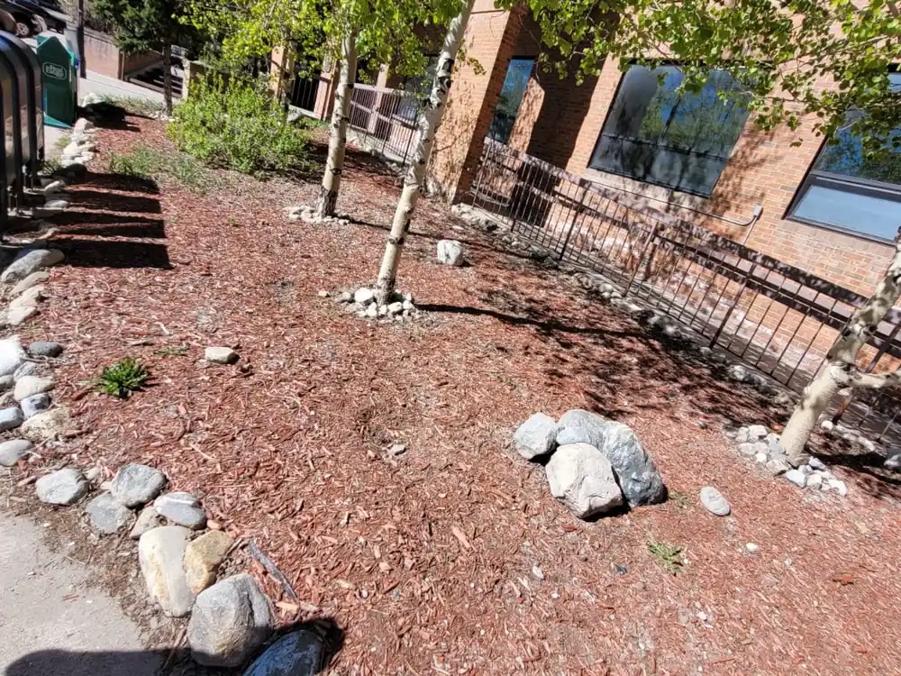 Landscape bed after fresh mulch and edging
