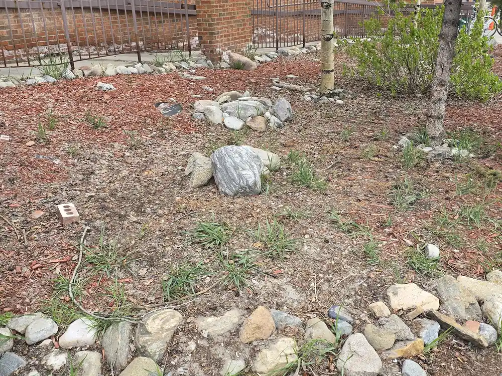Before view of the same landscape bed with exposed soil and rock edging